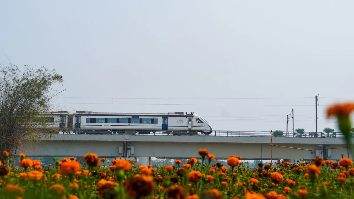 A sleek high-speed train travels across a raised bridge above vibrant orange marigold flowers.